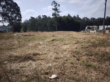 Terreno para Venda em Negreiros e Chavão