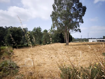 Terreno para Venda em Negreiros e Chavão