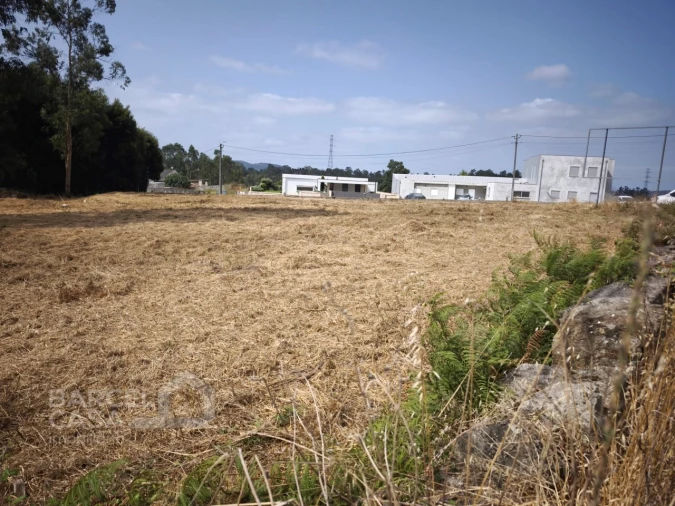 Terreno para Venda em Negreiros e Chavão Foto 2