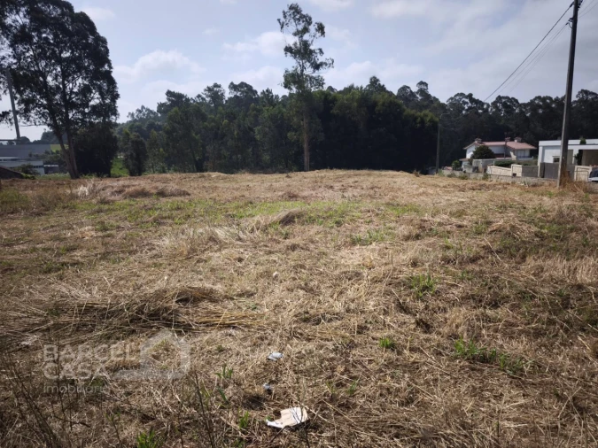Terreno para Venda em Negreiros e Chavão Foto 3