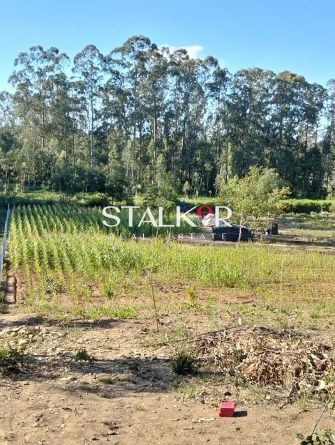 Terreno para Venda em Ovar, São João, Arada e São Vicente de Pereira Jusã