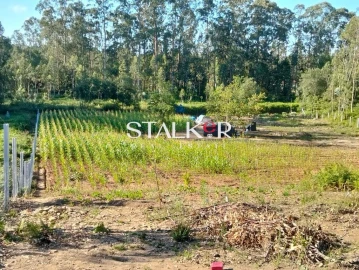 Terreno para Venda em Ovar, São João, Arada e São Vicente de Pereira Jusã