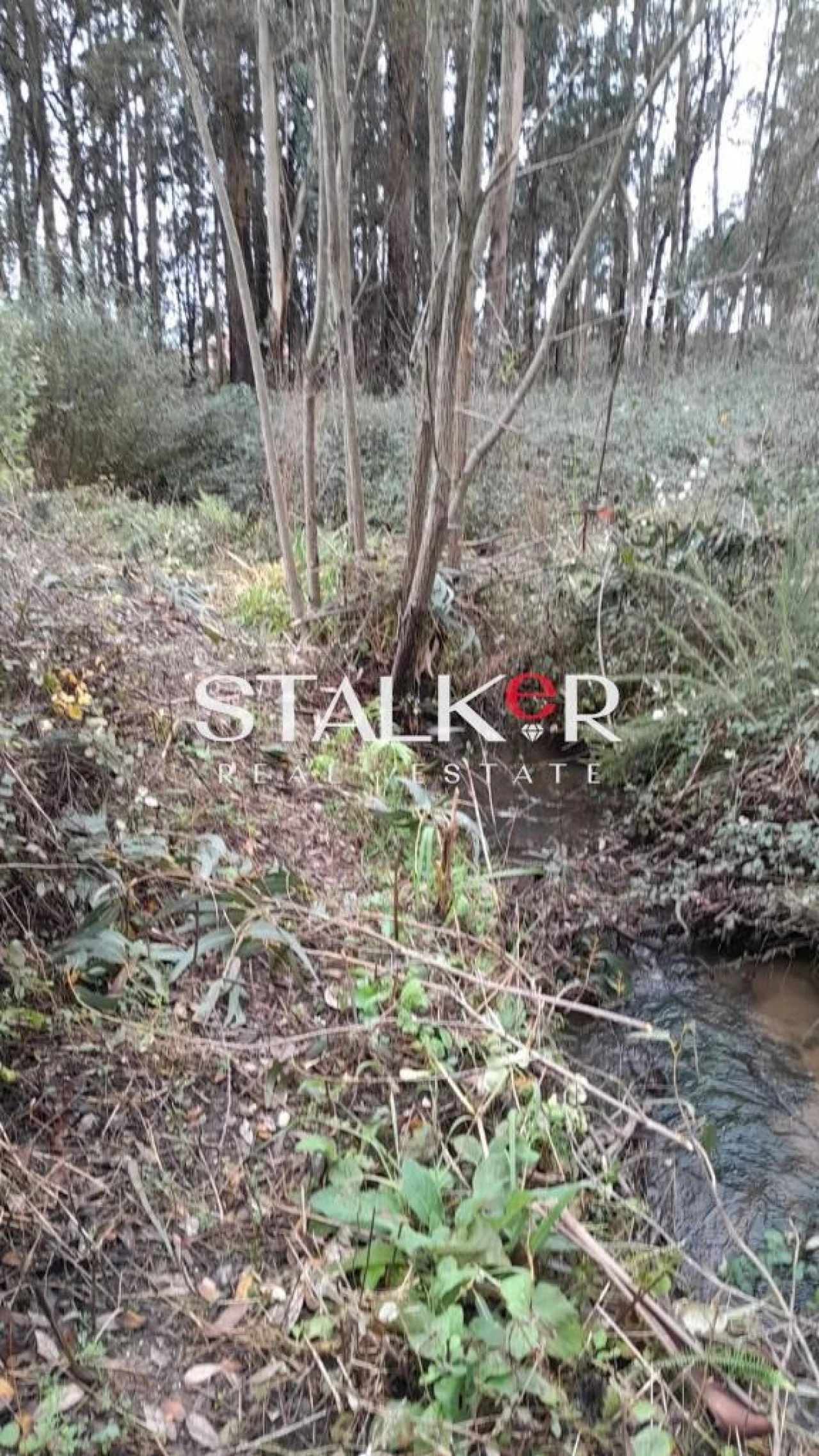 Terreno para Venda em Ovar, São João, Arada e São Vicente de Pereira Jusã Foto 5
