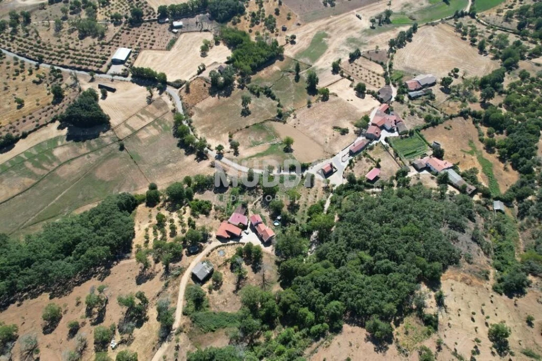 Terreno para Venda em Carragosa Foto 7