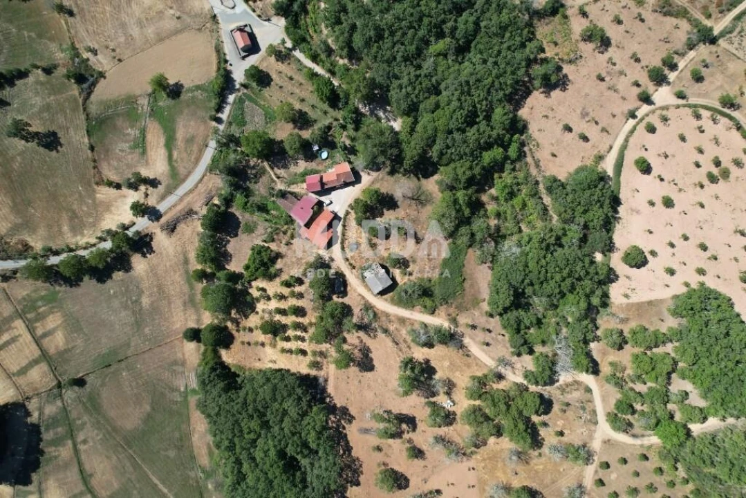 Terreno para Venda em Carragosa Foto 9