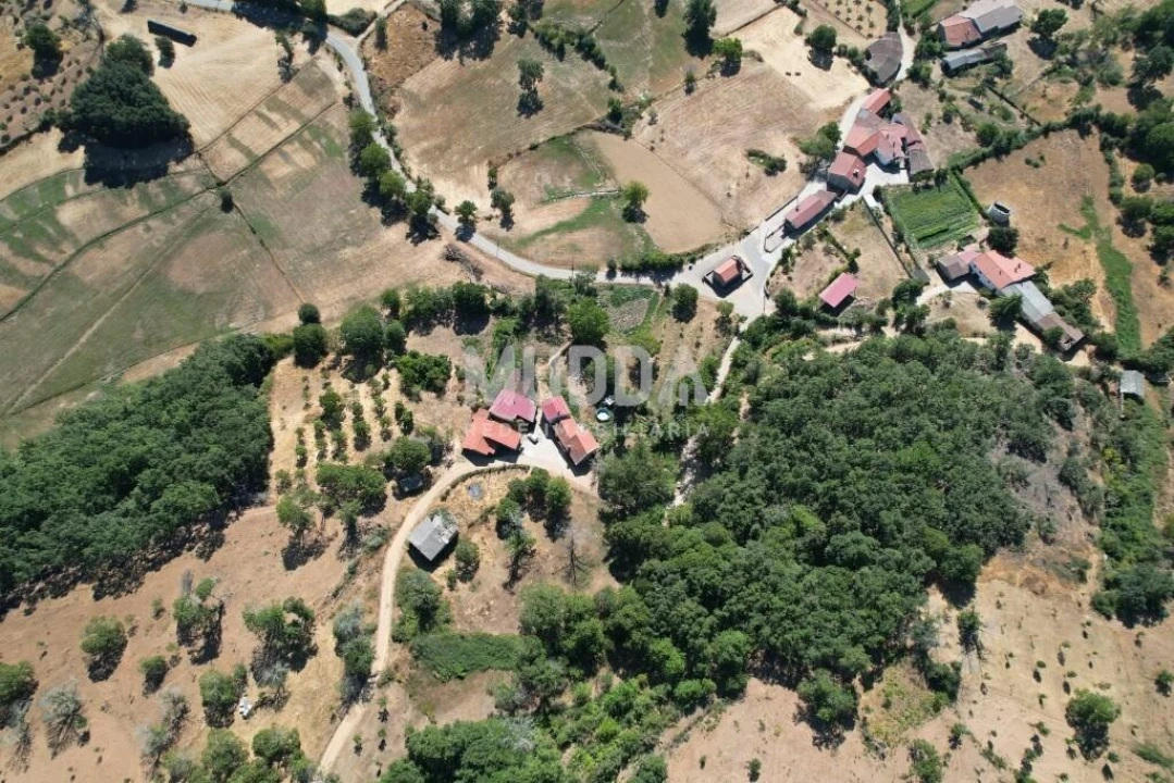 Terreno para Venda em Carragosa Foto 10