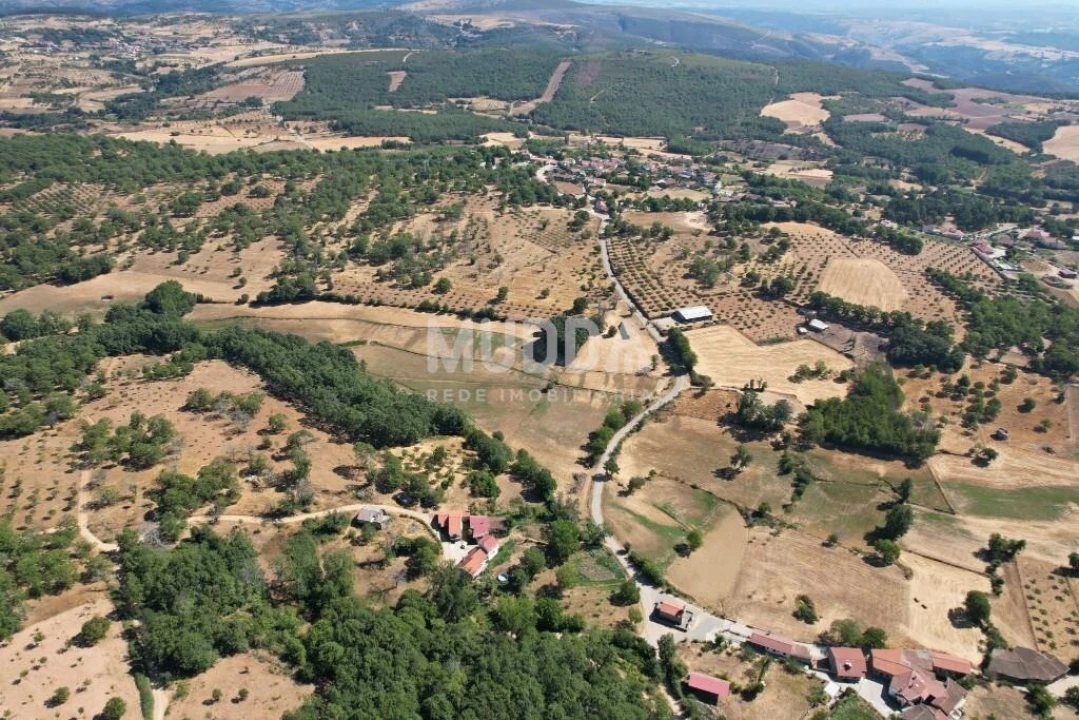 Terreno para Venda em Carragosa Foto 6