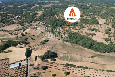Terreno para Venda em Carragosa