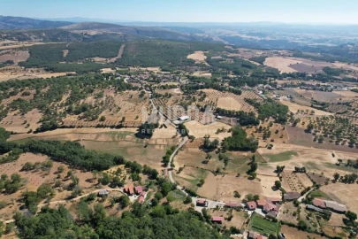 Terreno para Venda em Carragosa