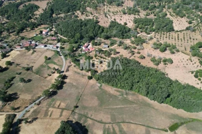 Terreno para Venda em Carragosa