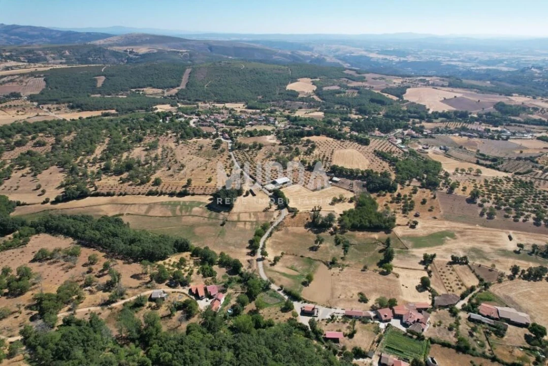 Terreno para Venda em Carragosa Foto 5