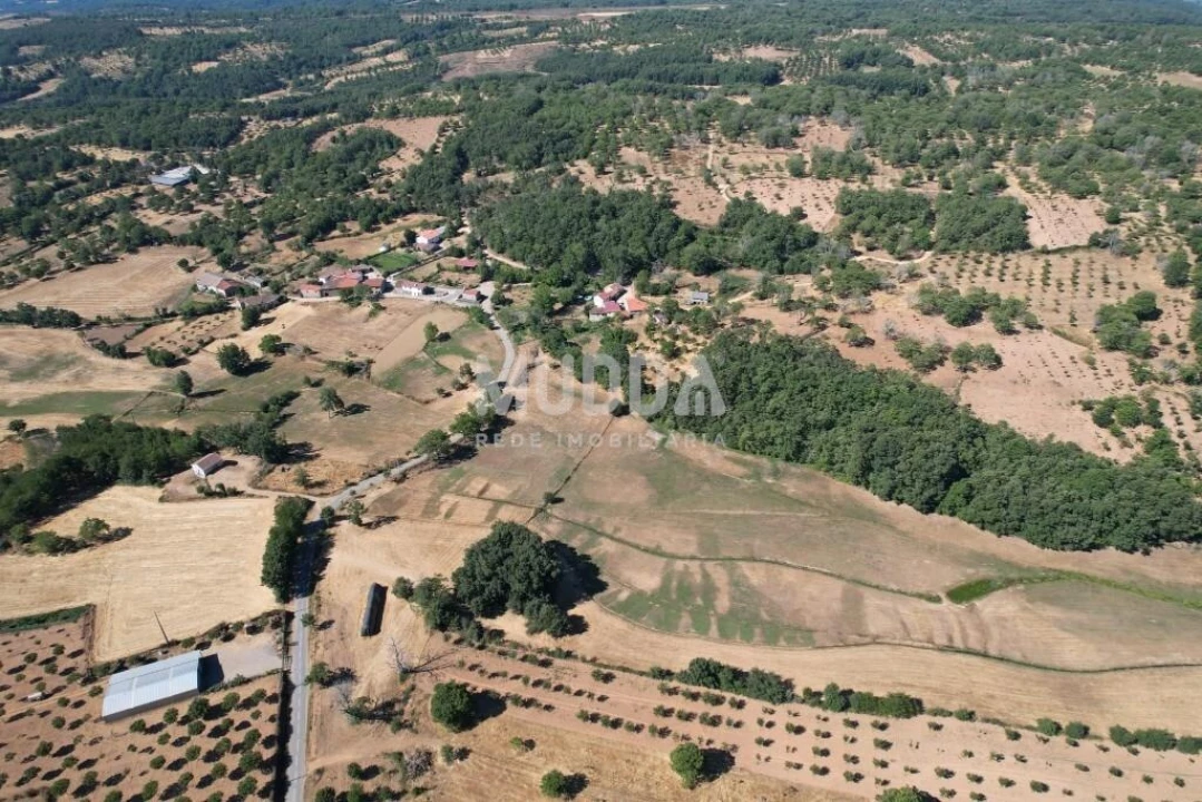 Terreno para Venda em Carragosa Foto 13