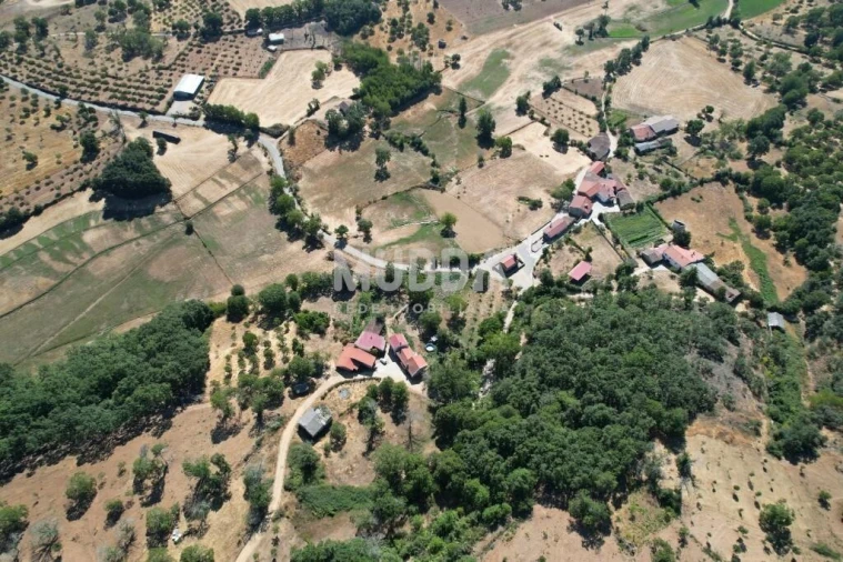 Terreno para Venda em Carragosa Foto 7