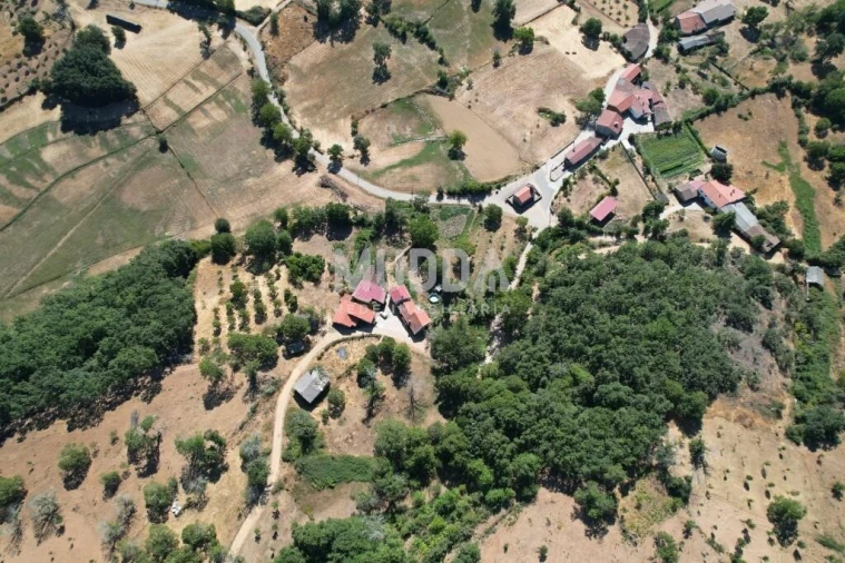 Terreno para Venda em Carragosa Foto 10