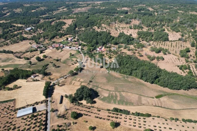 Terreno para Venda em Carragosa Foto 13