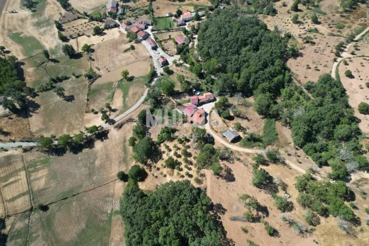 Terreno para Venda em Carragosa Foto 12