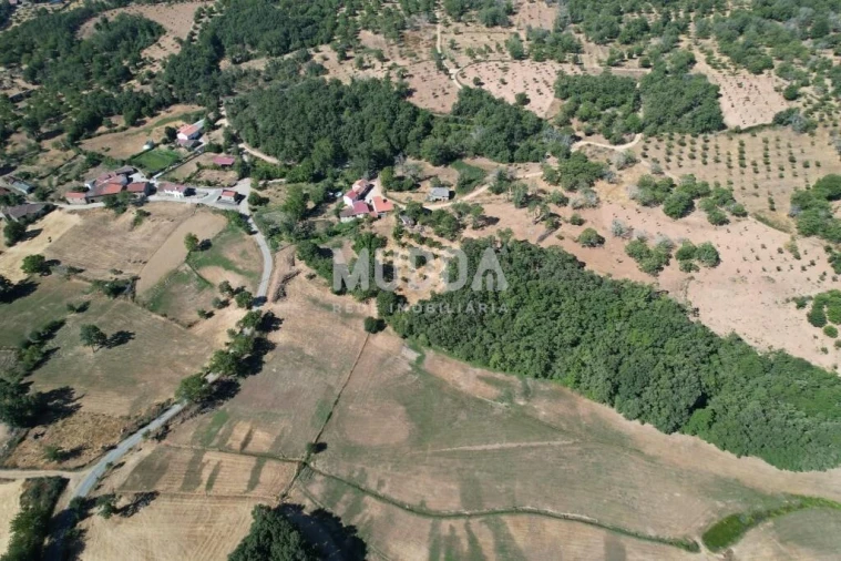 Terreno para Venda em Carragosa Foto 14