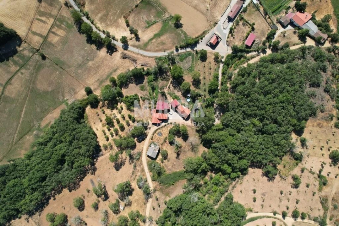 Terreno para Venda em Carragosa Foto 8
