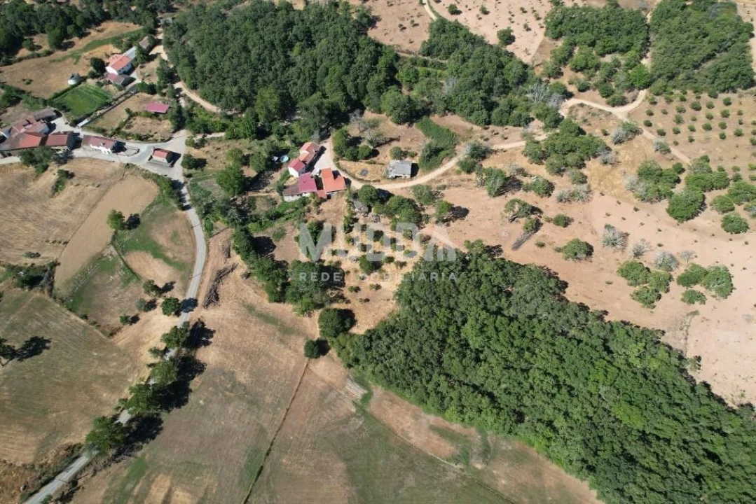 Terreno para Venda em Carragosa Foto 11