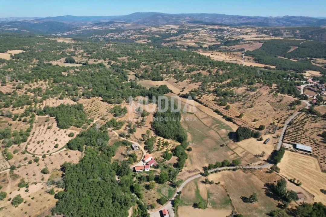 Terreno para Venda em Carragosa Foto 4