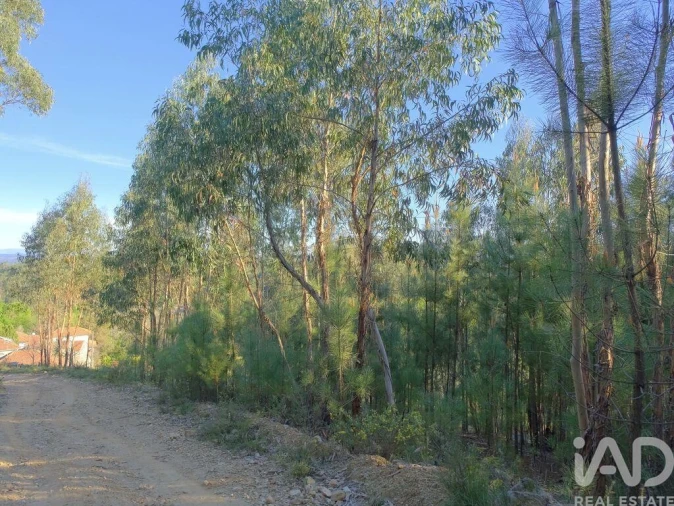 Moradia T2 para Venda em Carvalhais e Candal Foto 17