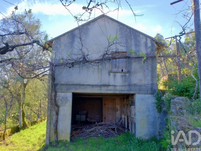 Moradia T2 para Venda em Carvalhais e Candal Foto 11