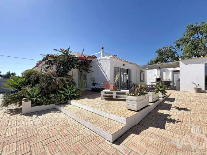 Quinta T4 para Venda em Pechão Foto 2