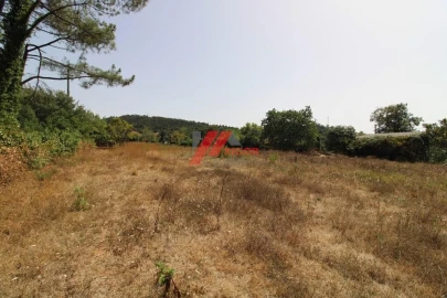 Moradia T3 para Venda em Muro