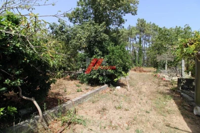 Moradia T3 para Venda em Muro