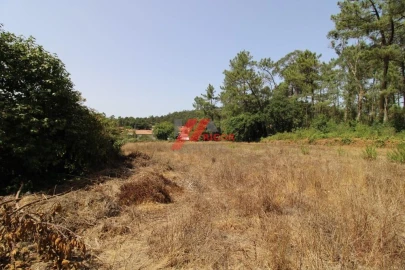 Moradia T3 para Venda em Muro