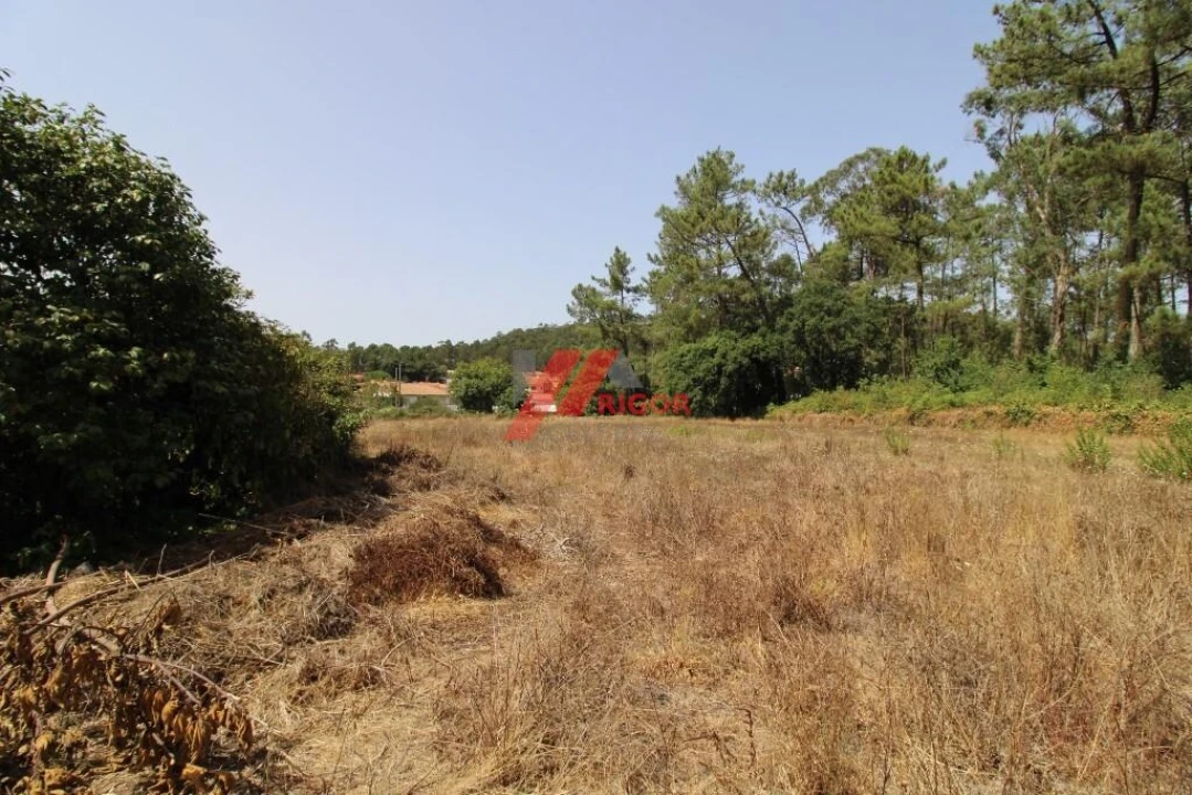 Moradia T3 para Venda em Muro Foto 3