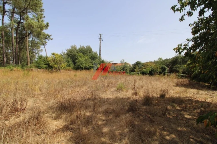 Moradia T3 para Venda em Muro Foto 4