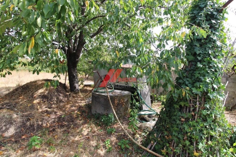 Moradia T3 para Venda em Muro Foto 2
