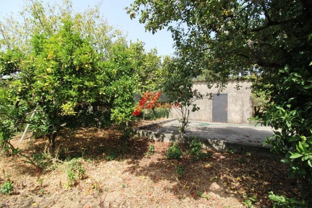 Moradia T3 para Venda em Muro Foto 1