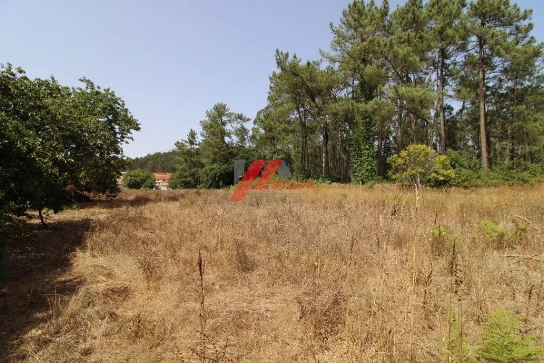 Moradia T3 para Venda em Muro Foto 13