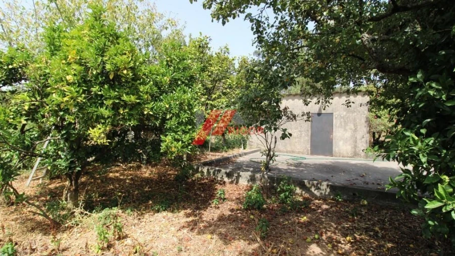 Moradia T3 para Venda em Muro