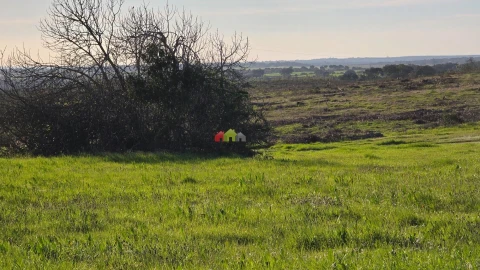 Moradia T3 para Venda em Foros de Vale de Figueira