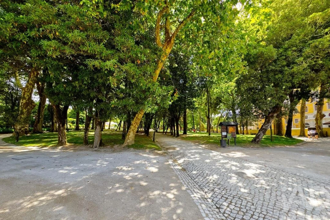 Apartamento T2 para Venda em Mafra Foto 4