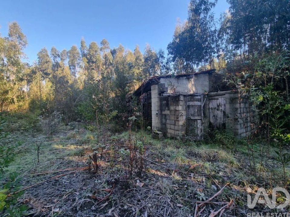 Terreno para Venda em Mortágua, Vale de Remígio, Cortegaça e Almaça Foto 5
