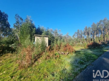 Terreno para Venda em Mortágua, Vale de Remígio, Cortegaça e Almaça