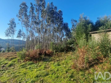 Terreno para Venda em Mortágua, Vale de Remígio, Cortegaça e Almaça