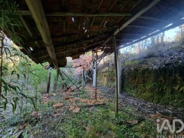 Terreno para Venda em Mortágua, Vale de Remígio, Cortegaça e Almaça