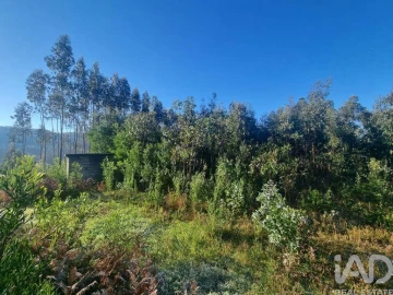 Terreno para Venda em Mortágua, Vale de Remígio, Cortegaça e Almaça