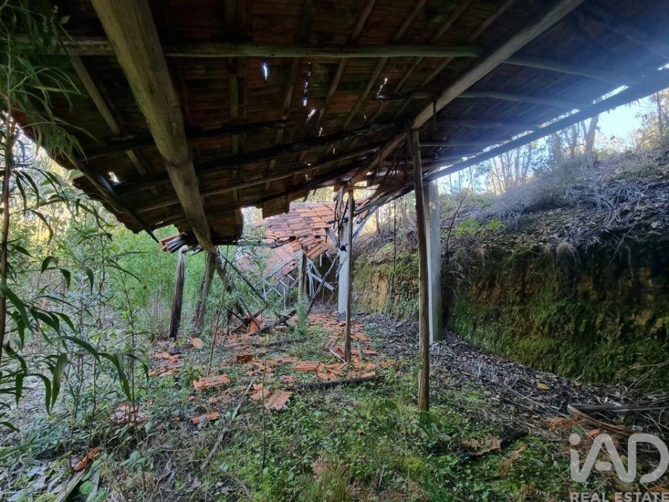 Terreno para Venda em Mortágua, Vale de Remígio, Cortegaça e Almaça Foto 4