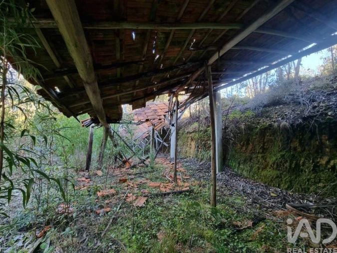 Terreno para Venda em Mortágua, Vale de Remígio, Cortegaça e Almaça Foto 4