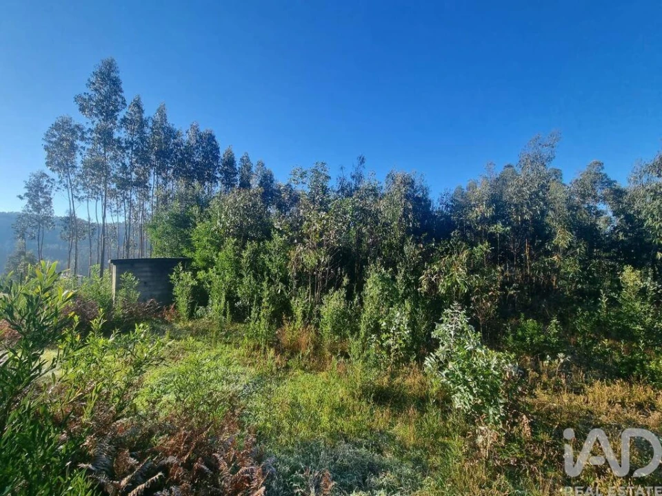 Terreno para Venda em Mortágua, Vale de Remígio, Cortegaça e Almaça Foto 7