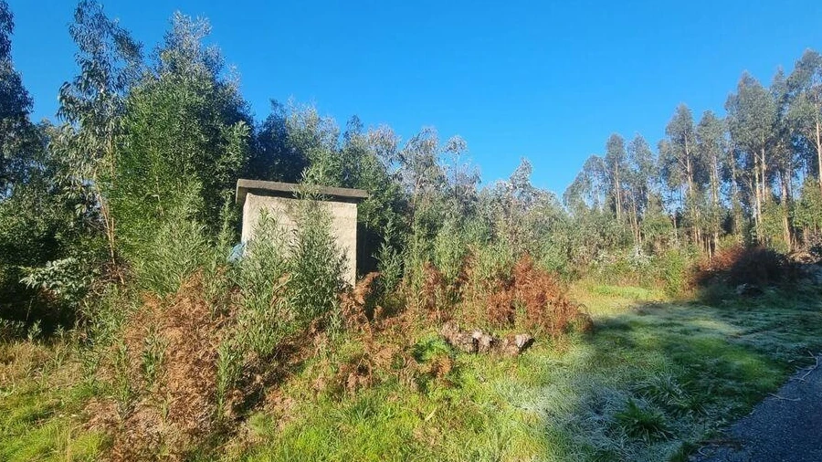 Terreno para Venda em Mortágua, Vale de Remígio, Cortegaça e Almaça