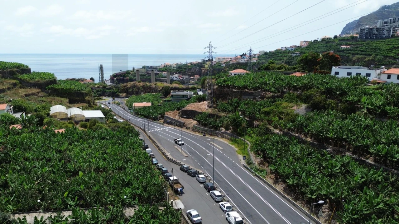 Terreno para Venda em São Martinho Foto 8