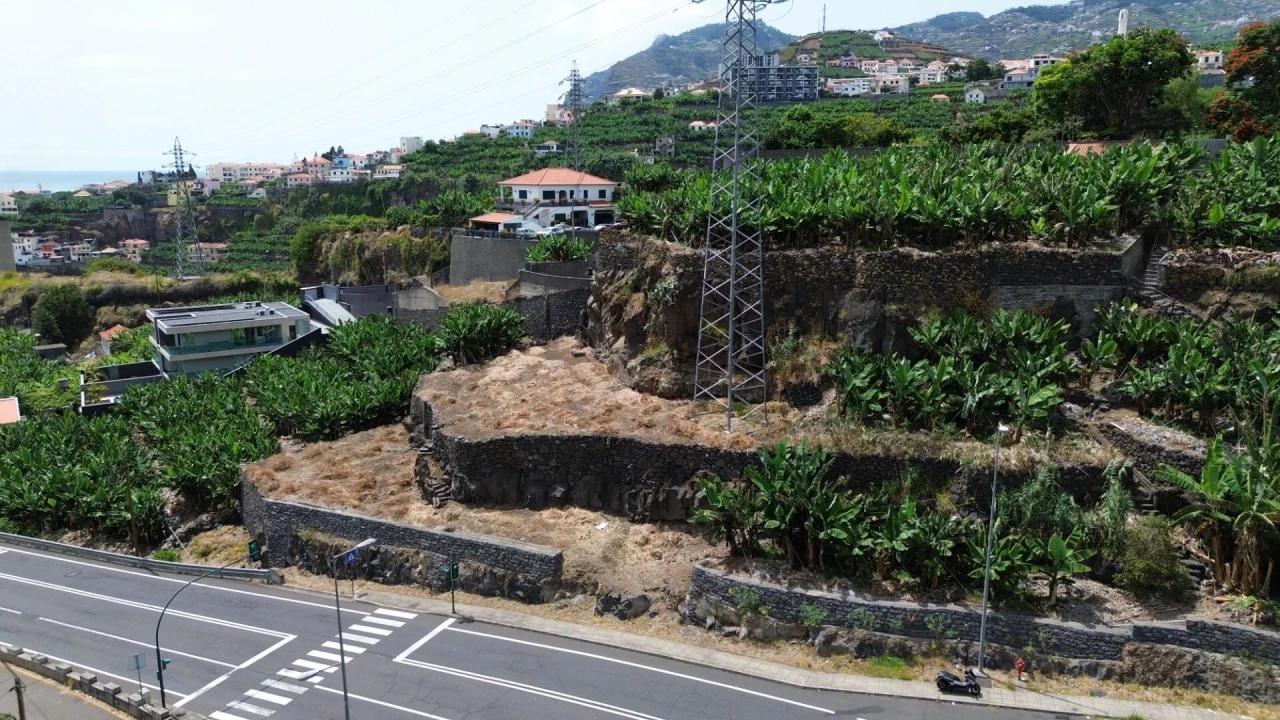 Terreno para Venda em São Martinho Foto 7
