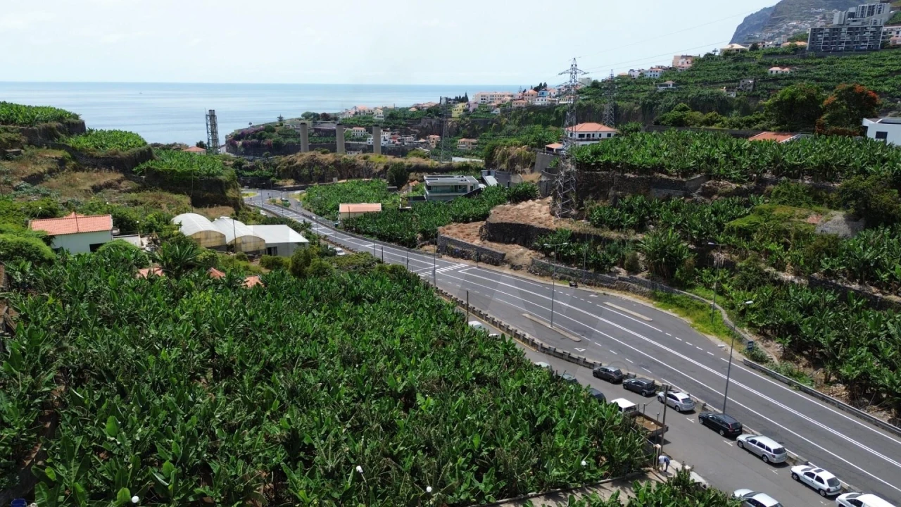 Terreno para Venda em São Martinho Foto 4